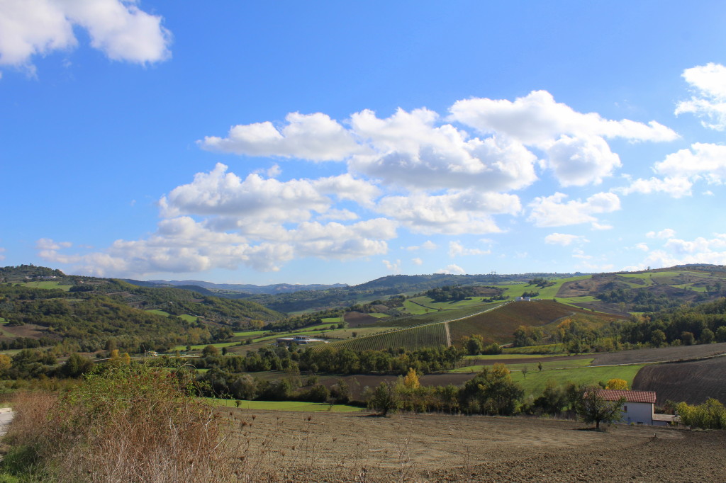 Paternopoli, Località Scorzagalline (Foto di Filomena Salzano)