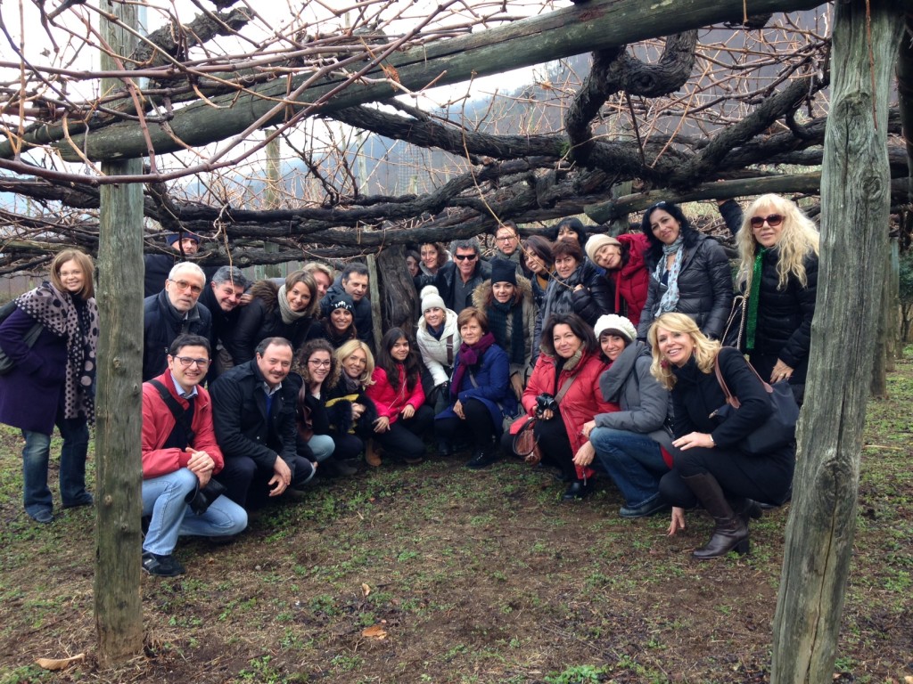 Foto di Gruppo Terra dei vini