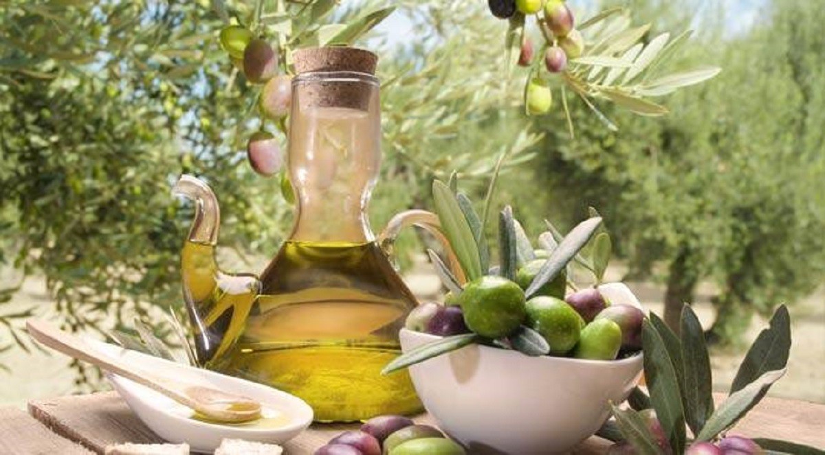 huile-olive-production-l-economiste-maghrebin-1200x663
