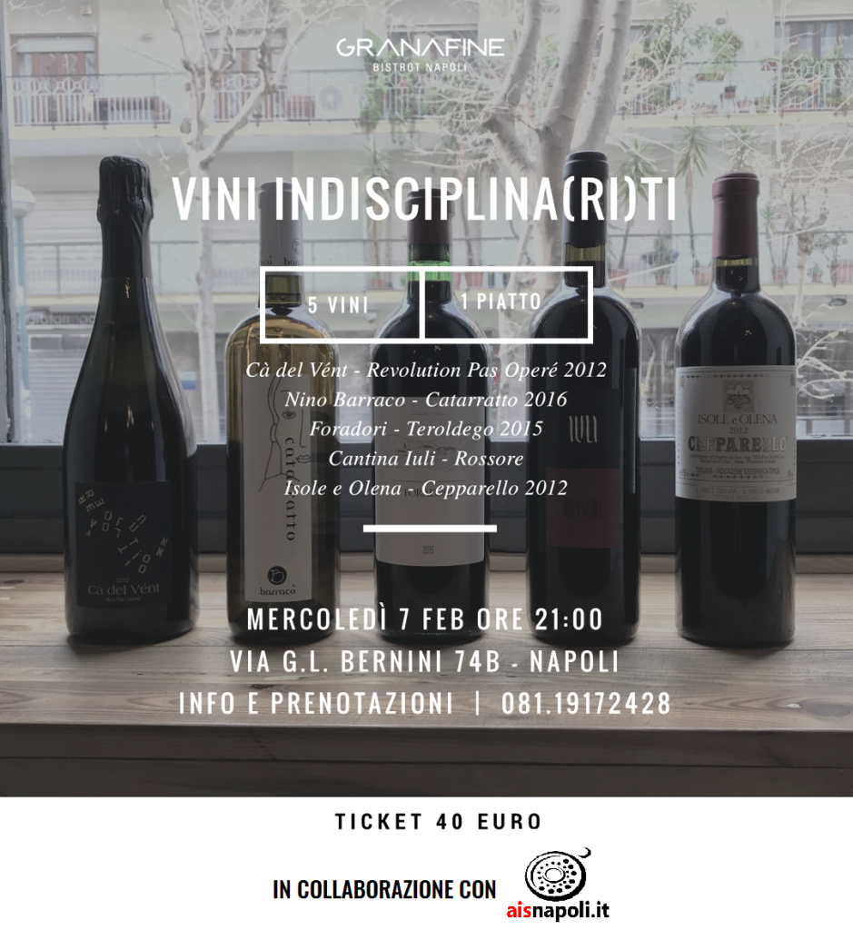 vini-indisciplinariti